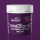 Directions Hair Colour Plum (100ml)