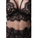 GREY VELVET Erotikset von Grey Velvet (black)